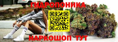 стаф Балахна