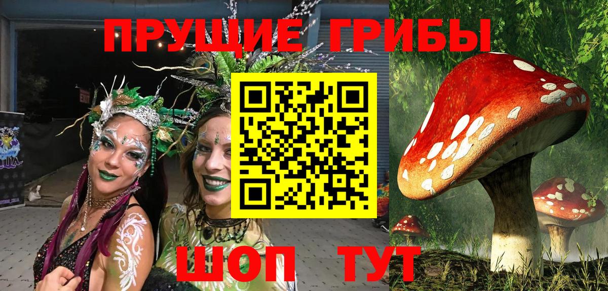 Галлюциногенные грибы MAGIC MUSHROOMS Дивногорск